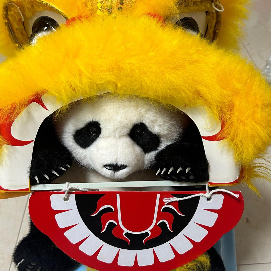 大美熊萌萌妹猪🐼