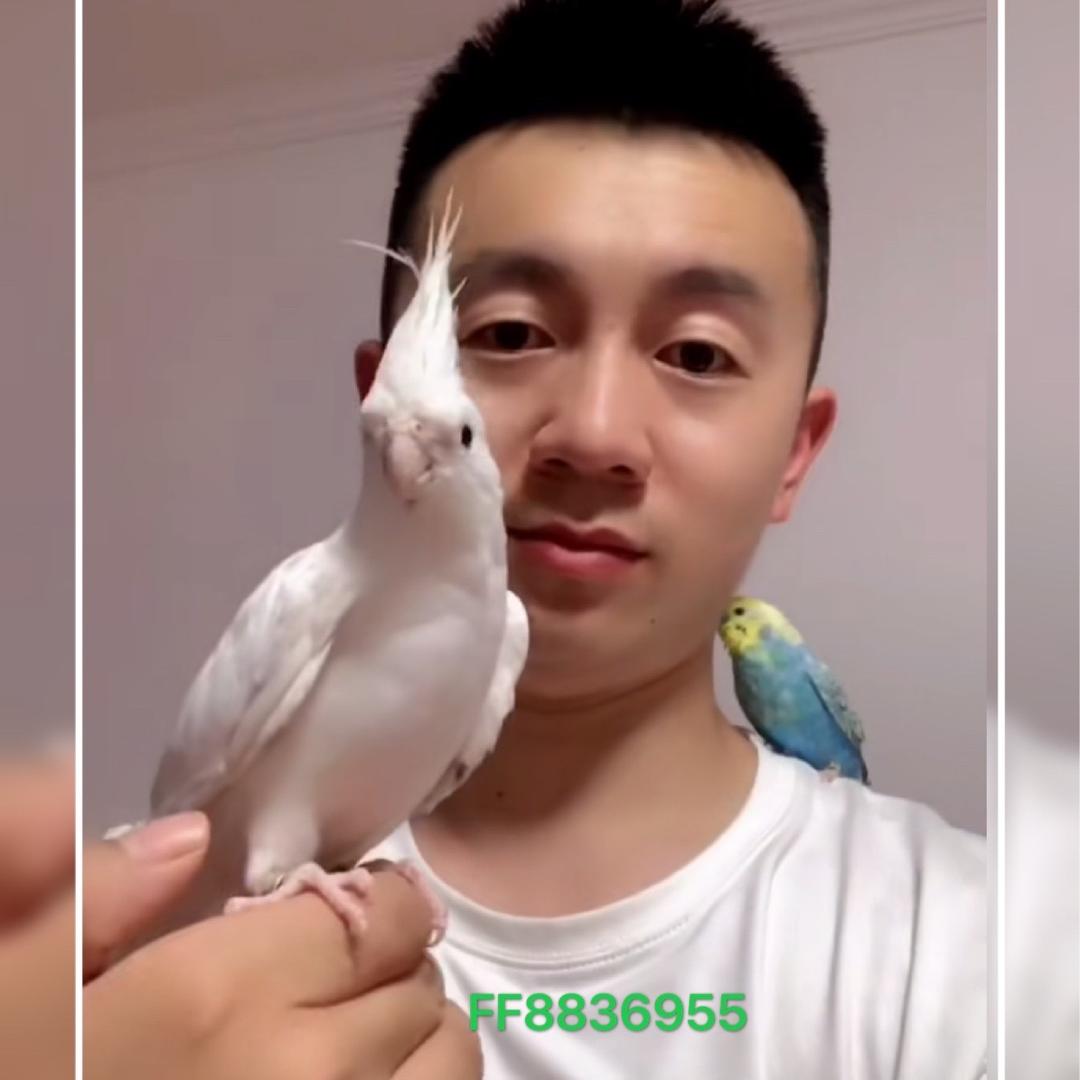 山东鹉二郎