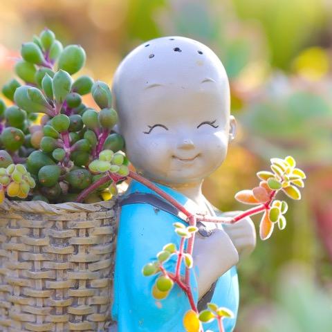 打碎夕阳只为碎银几两