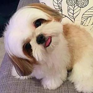 库里蓝ღ