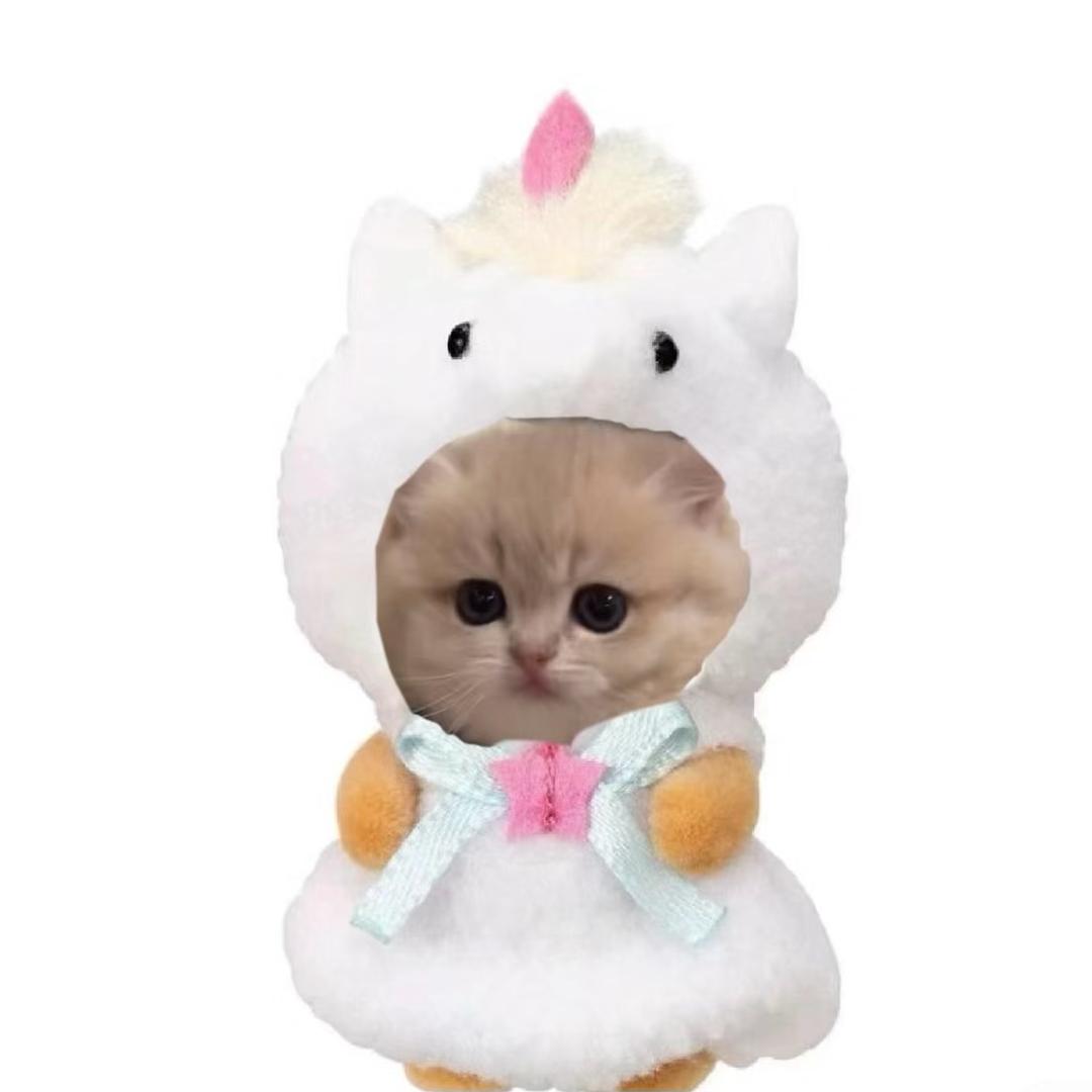 .asasasa