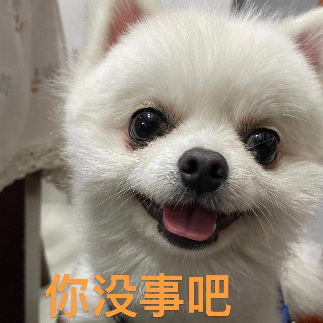 想吃麻辣王子