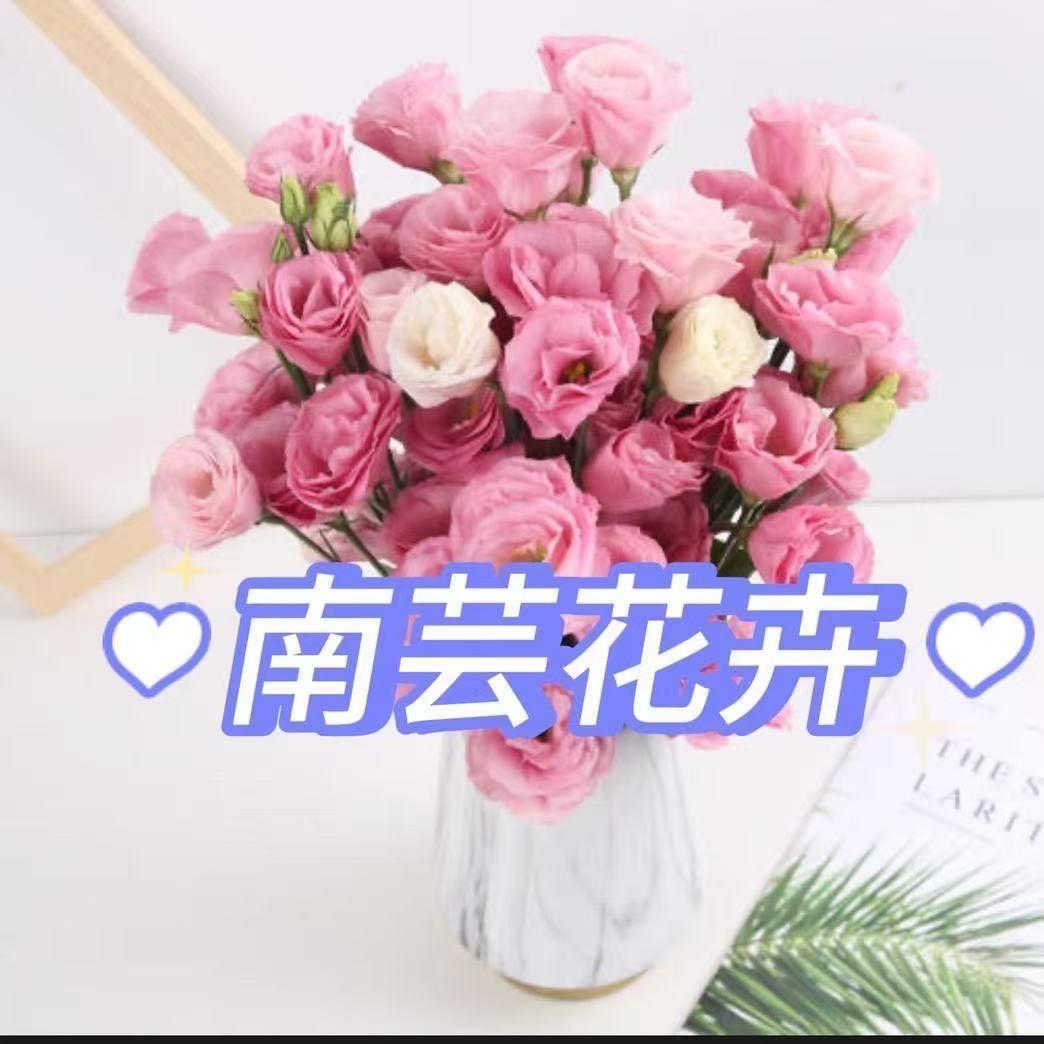 南芸鲜花批发（小号）