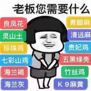 岱鑫养殖农资店