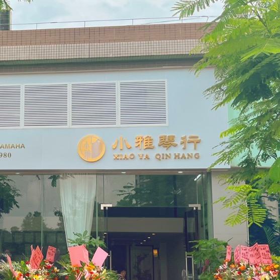 均安镇小雅古筝