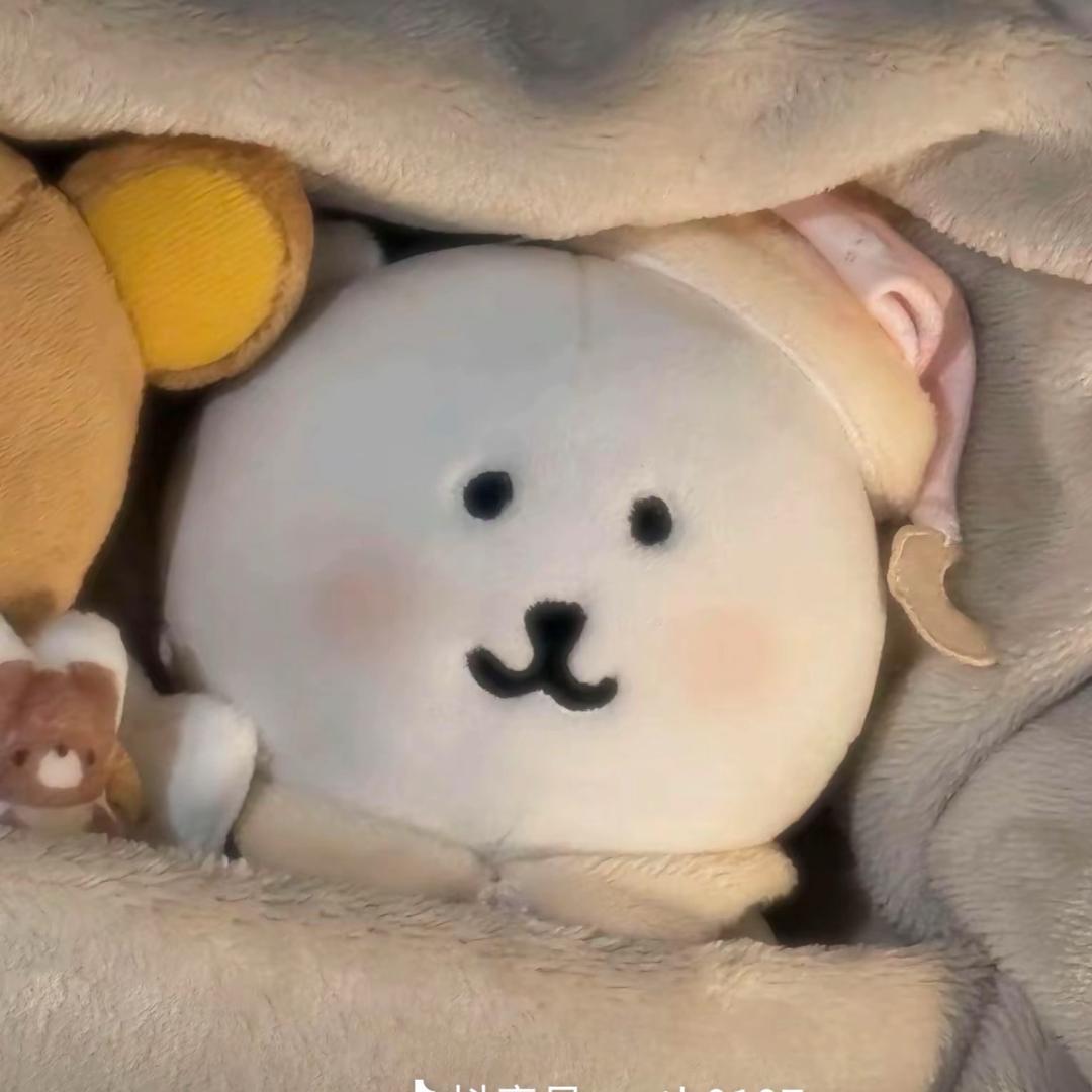 小晨🫧
