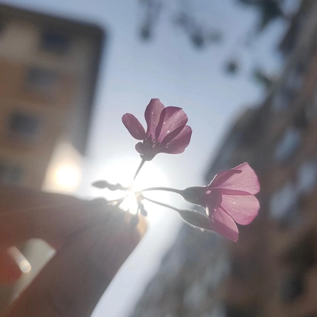 末°