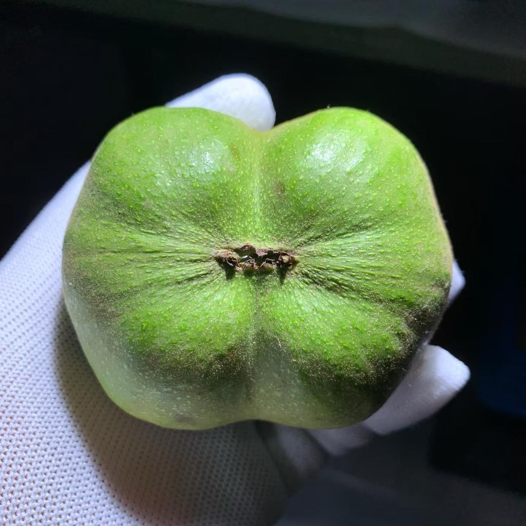 文玩严选小铺子