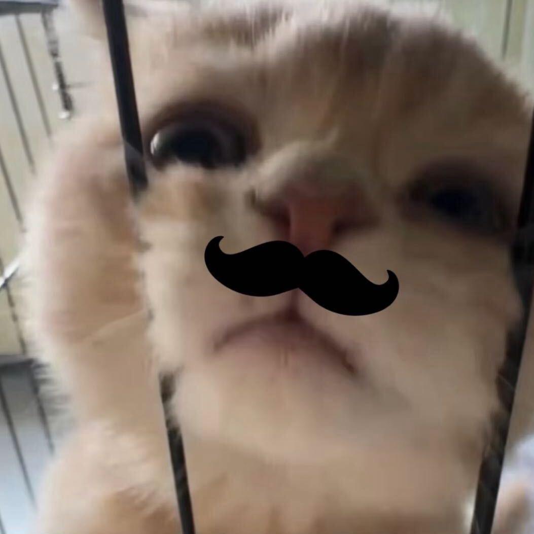 /.