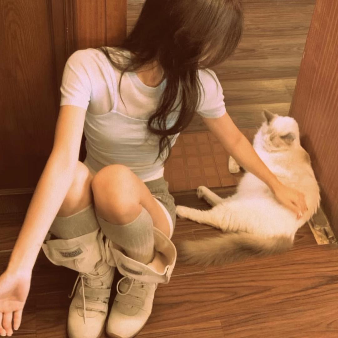 蛋糕
