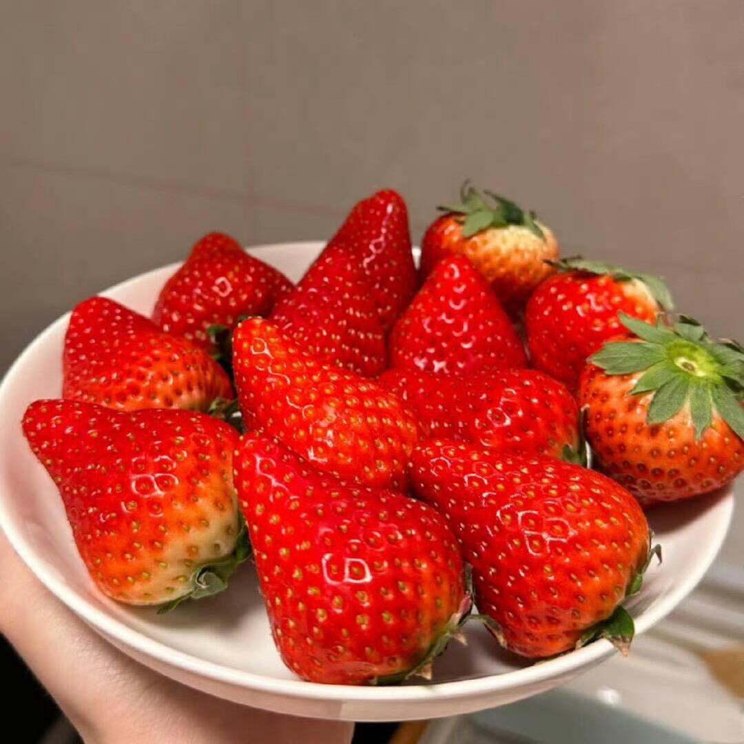 小草莓🍓