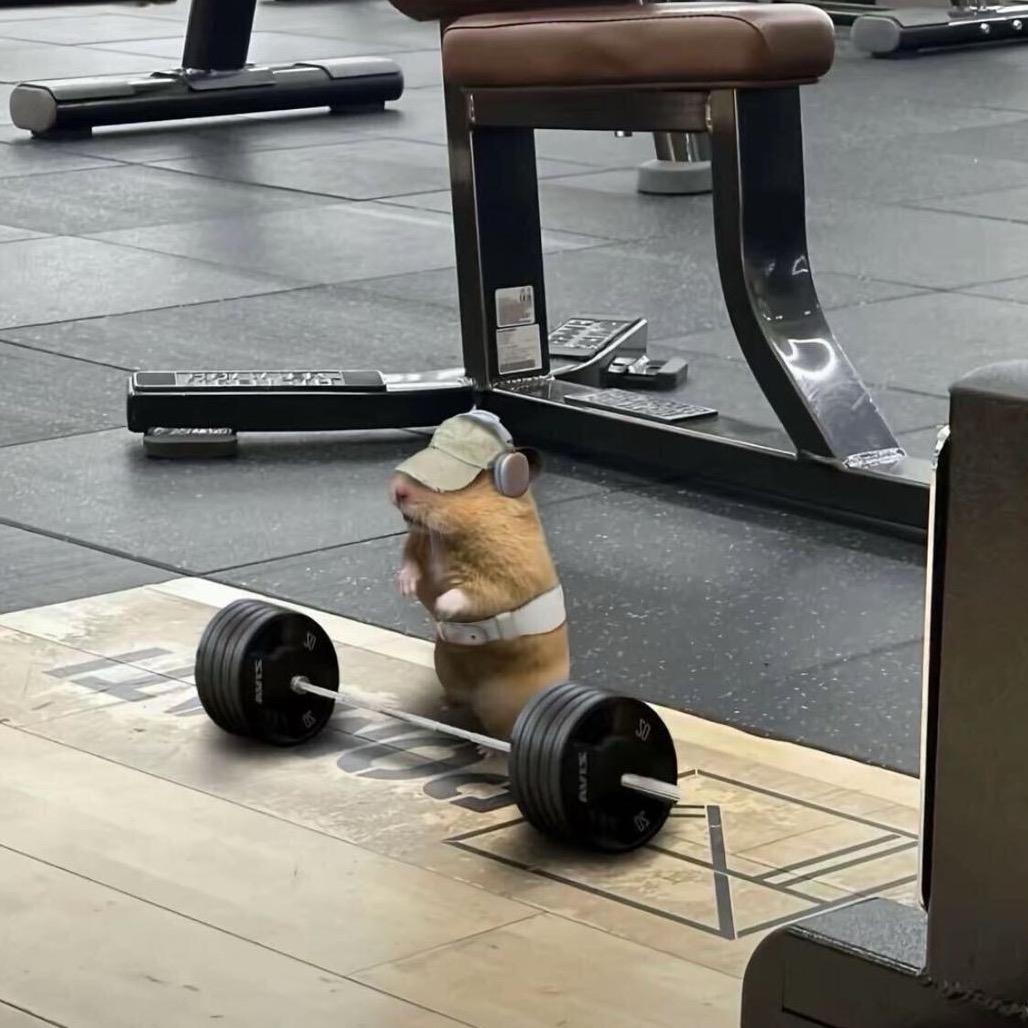 百变小乐🦔
