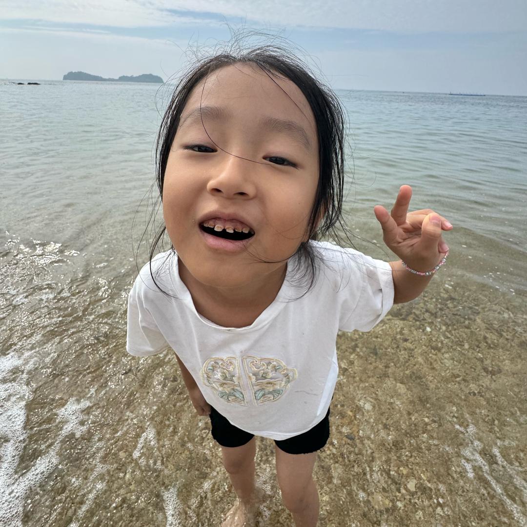 奇妙小森林