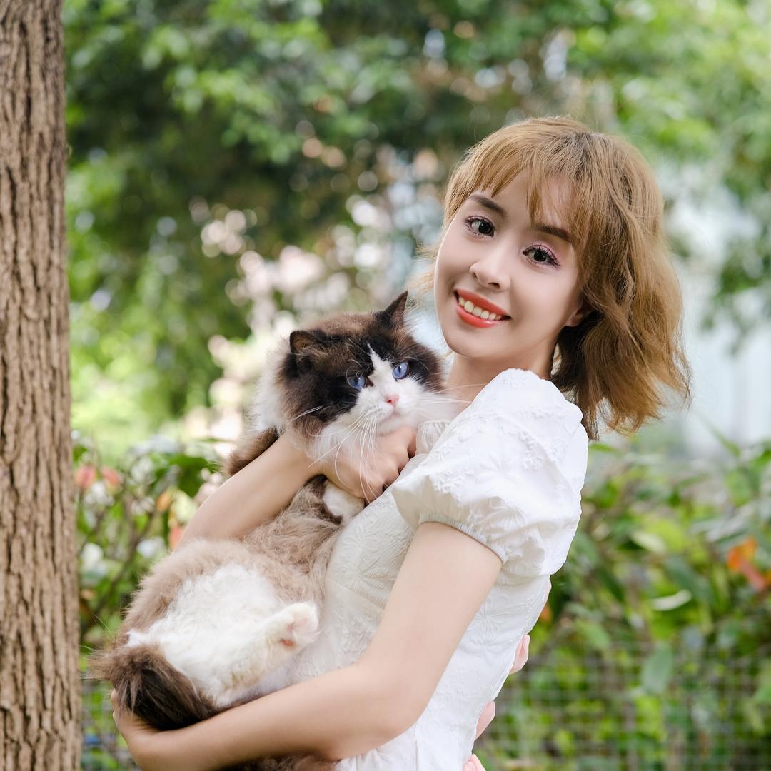 猫伴物语