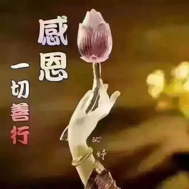 禅意幽兰