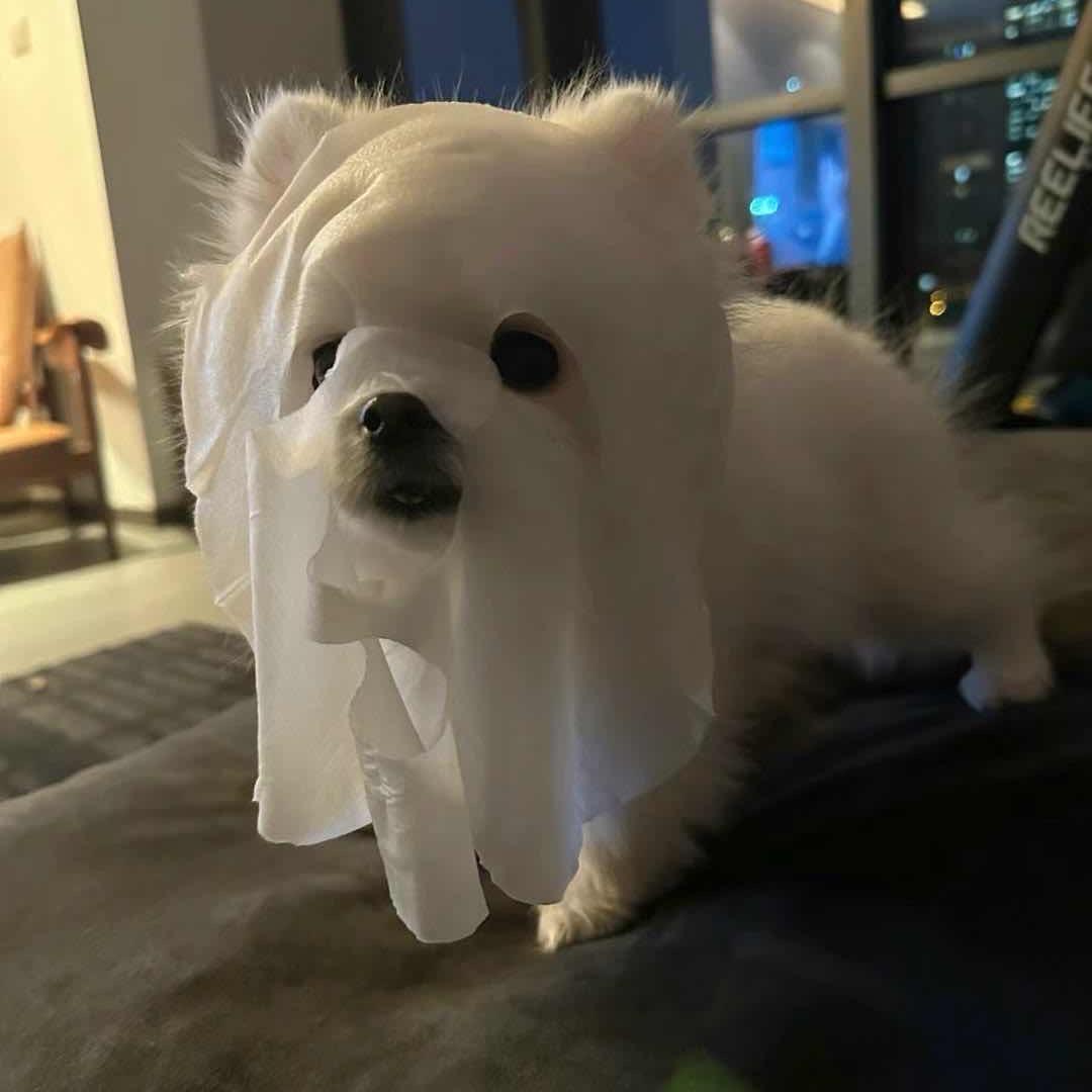 黑眼圈重度患者