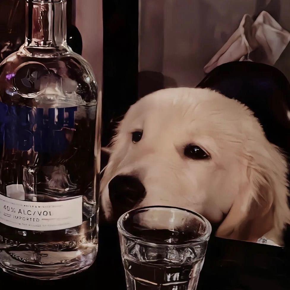 沈阳帅哥美女聚集地