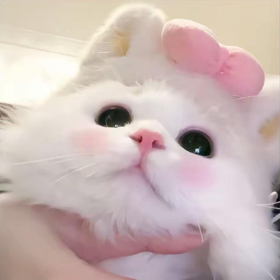 额