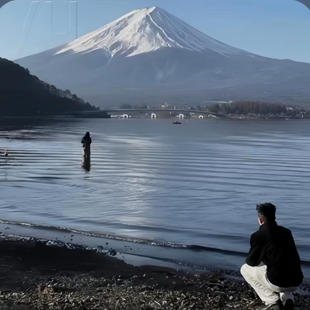 -常青树