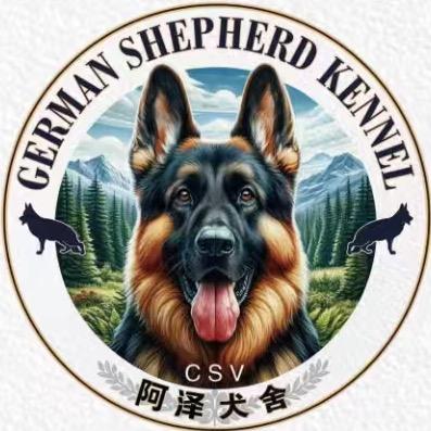 阿泽犬舍（德牧）