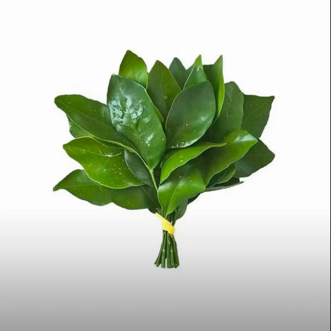hui-慧-