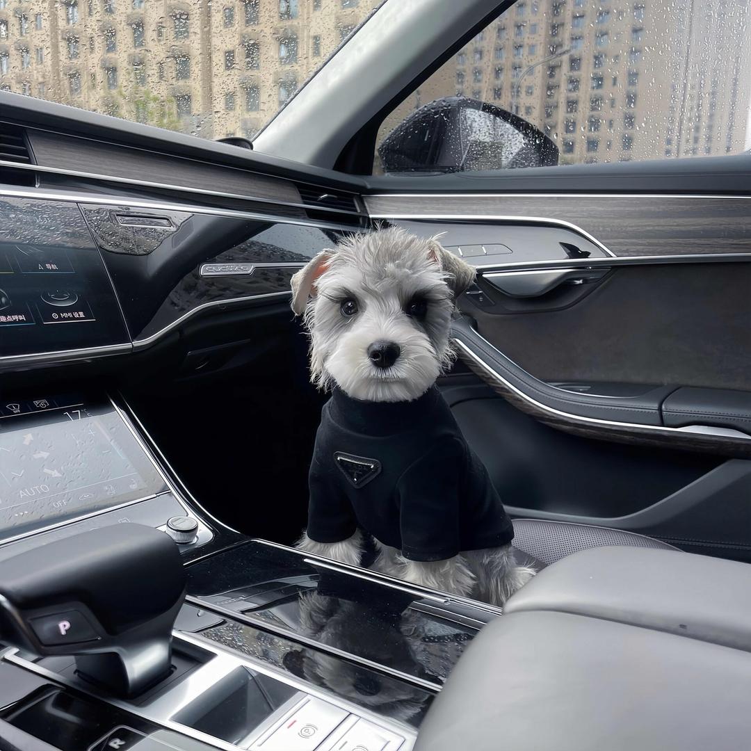 𝓞𝓵𝓭𝓯𝓵𝓪𝓶𝓮