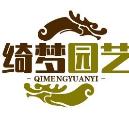 漳州绮梦三角梅