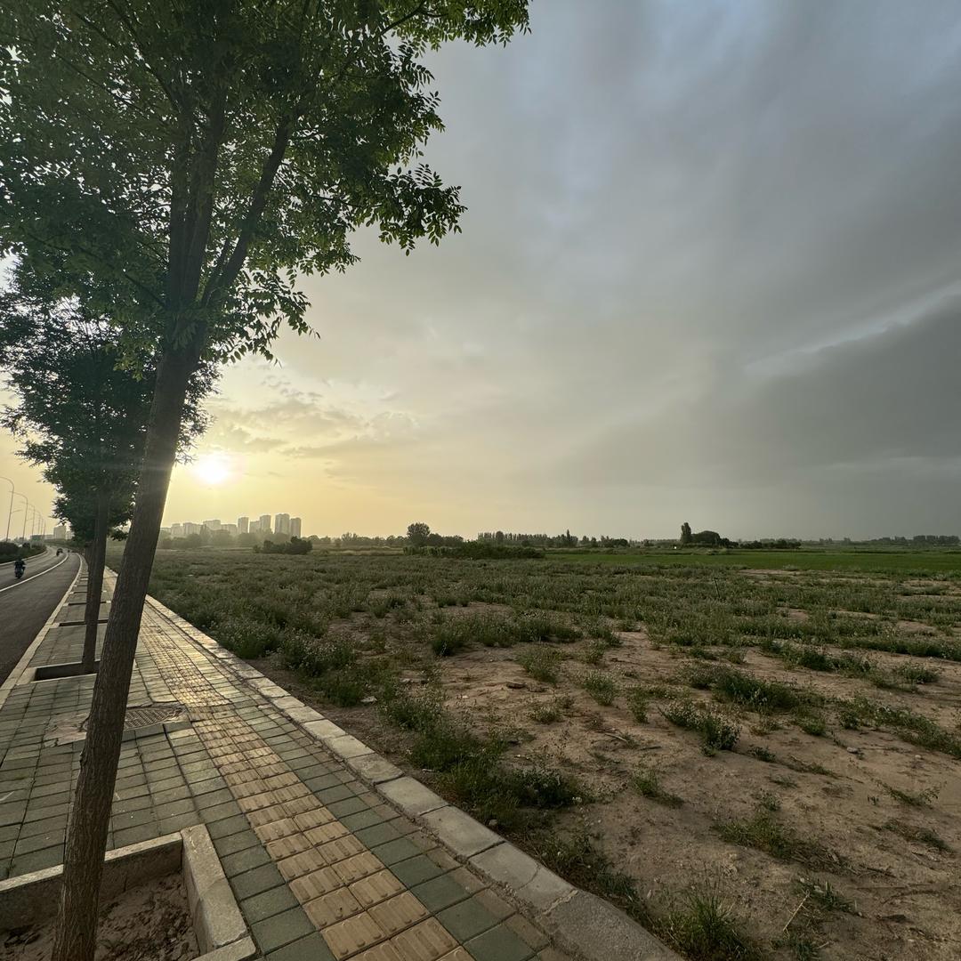 满山的猴子我腚最红