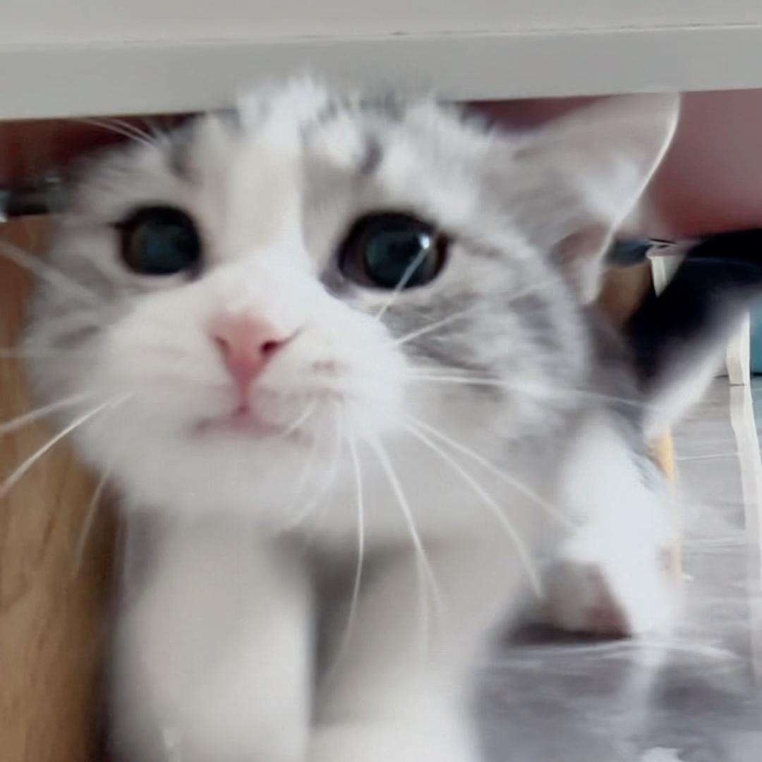 潘大喜的咪友圈