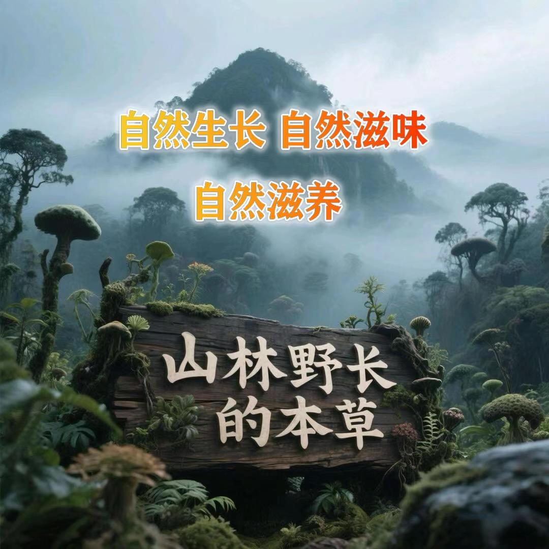 山林野长的本草