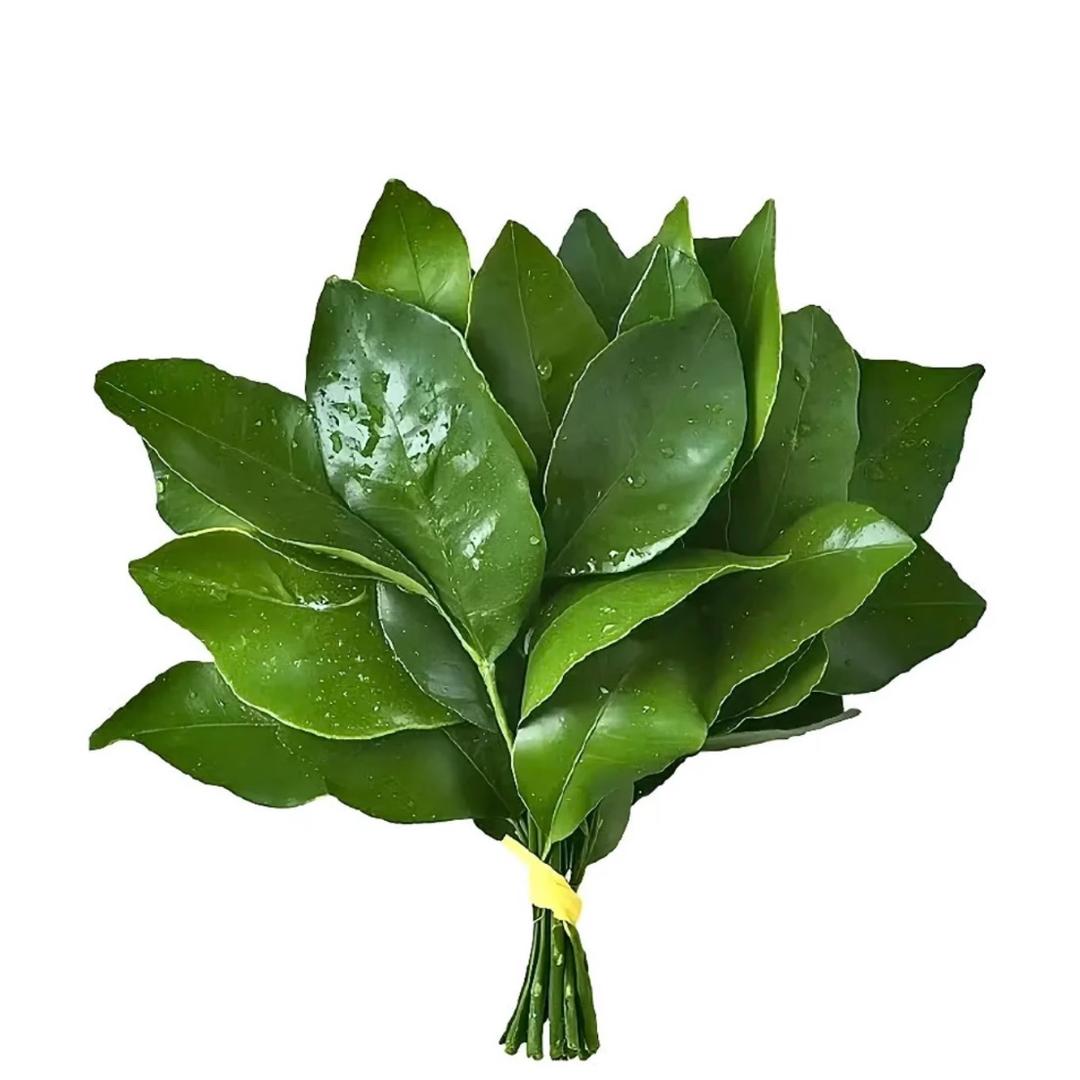 森森的小橱