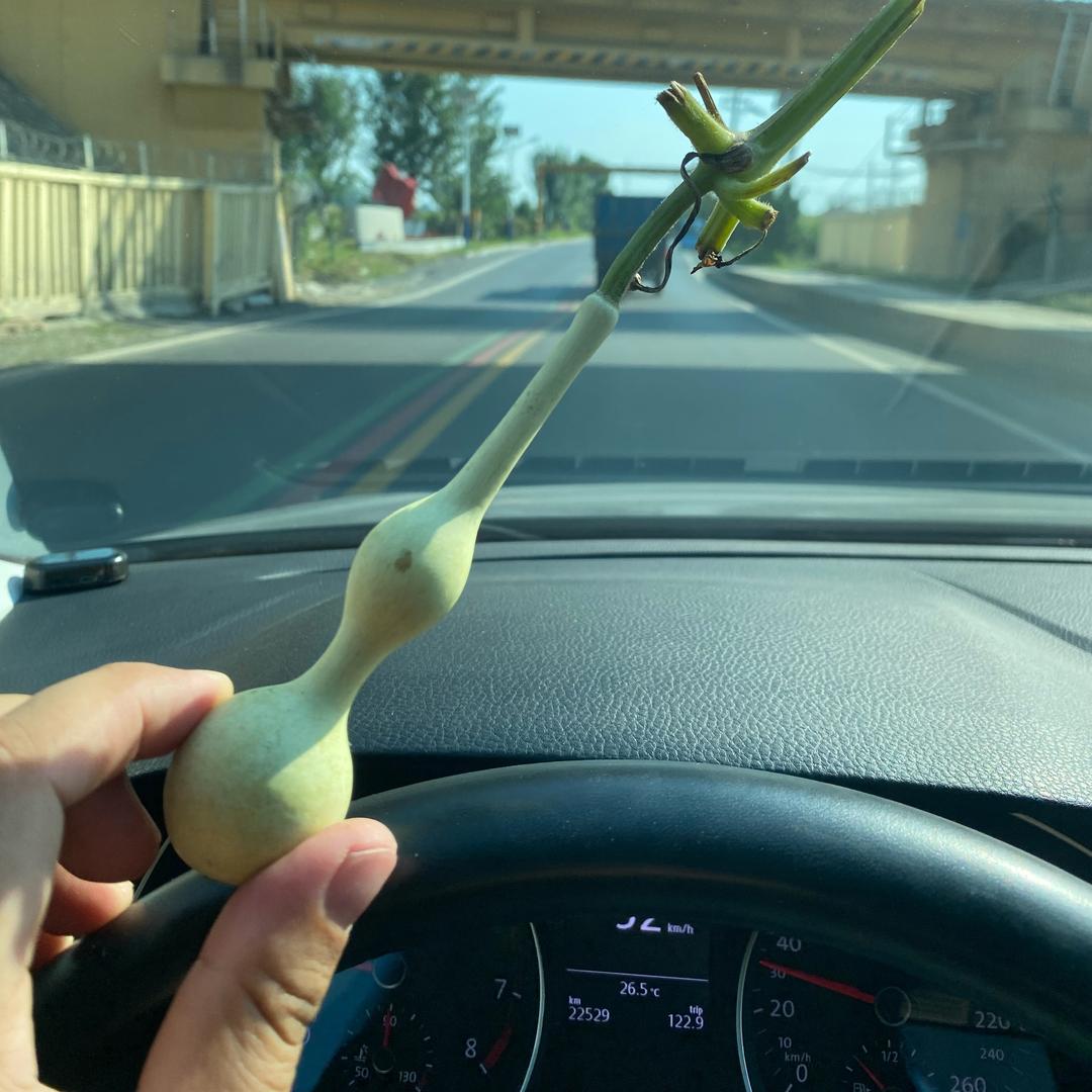 福禄精品葫芦村