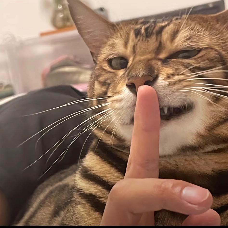 A7