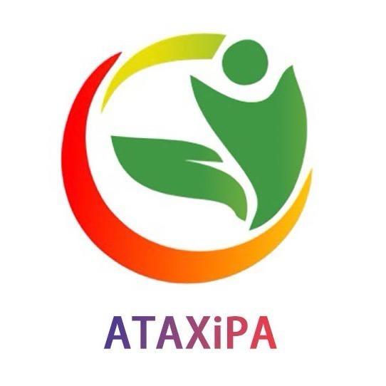 ATAXiPA总店