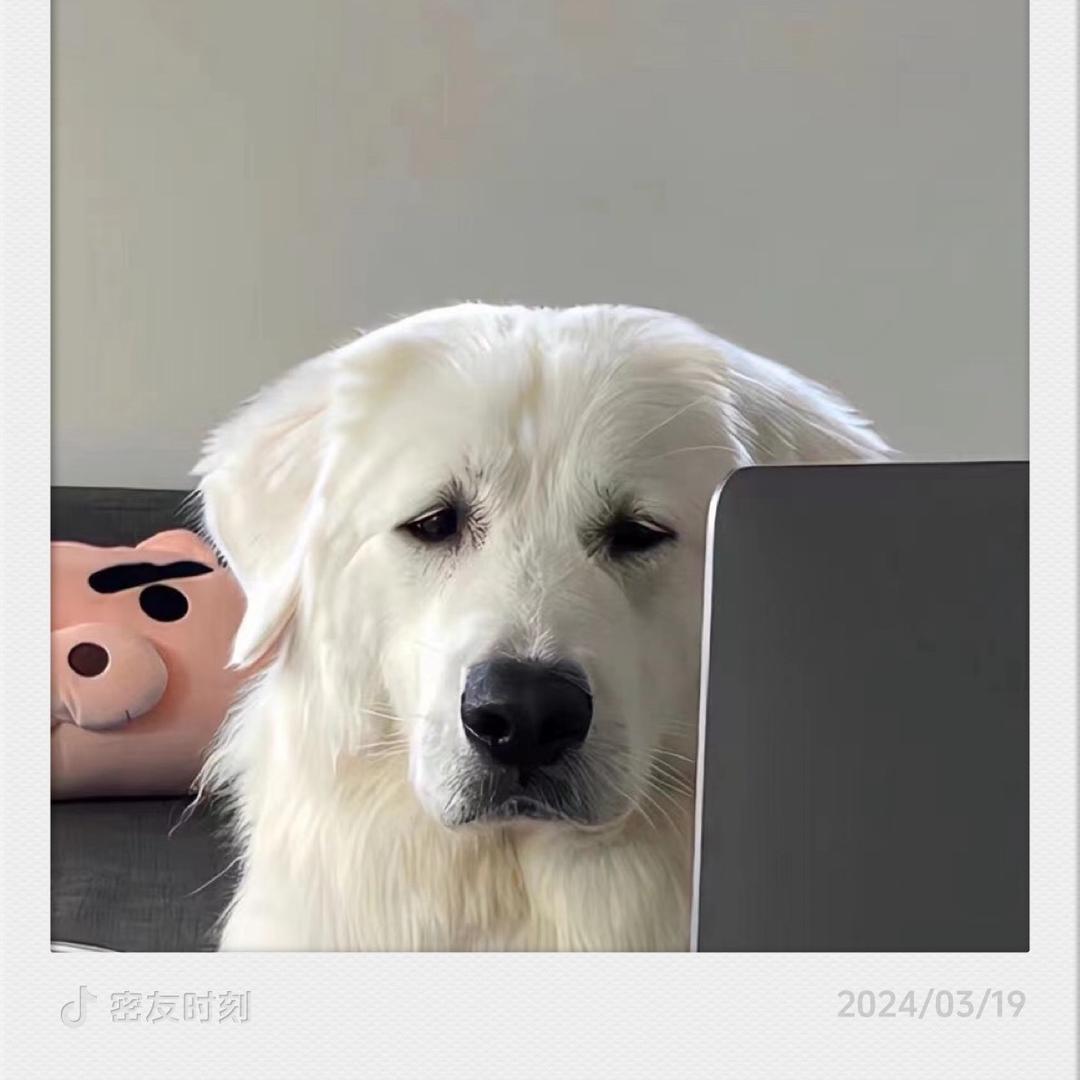 放