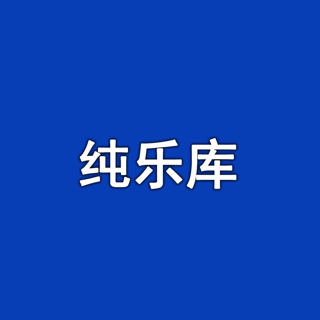 竞元车载音乐（可够you盘）