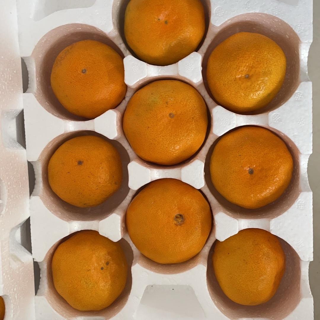 隔壁老王涌泉蜜桔