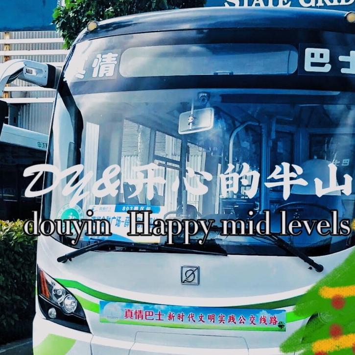 开心的半山（缓更）