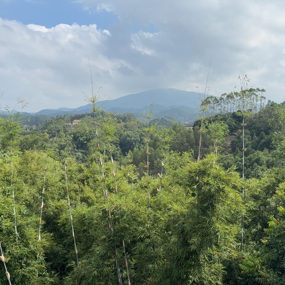 桂乡园广西特产