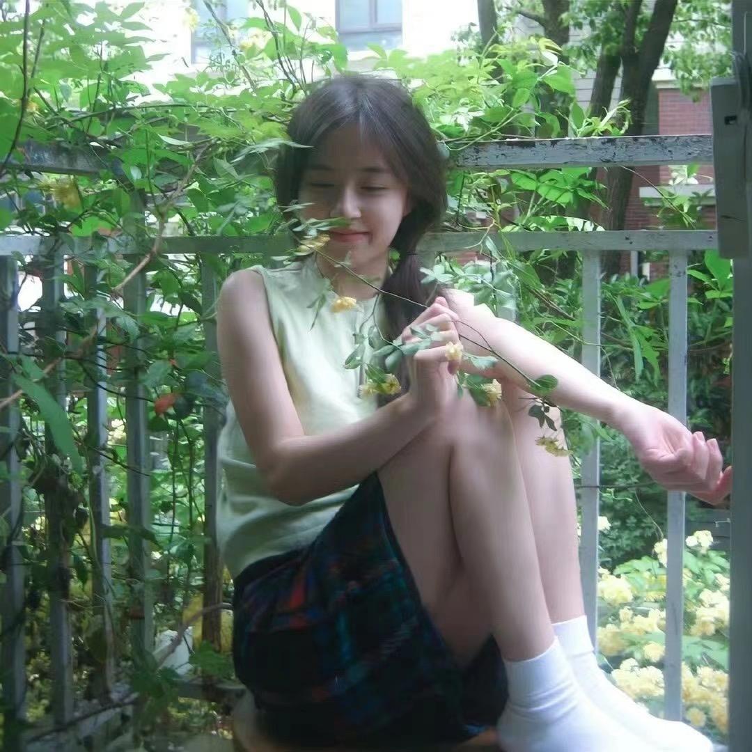 呆瓜不会飞.