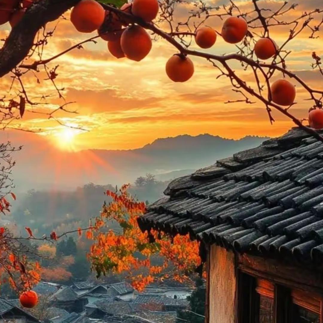 小太阳棉袜工厂