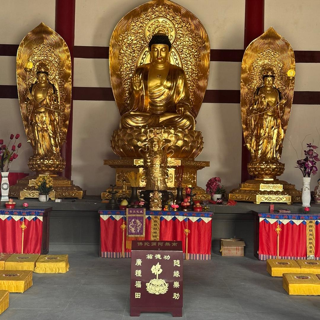 邢。能能