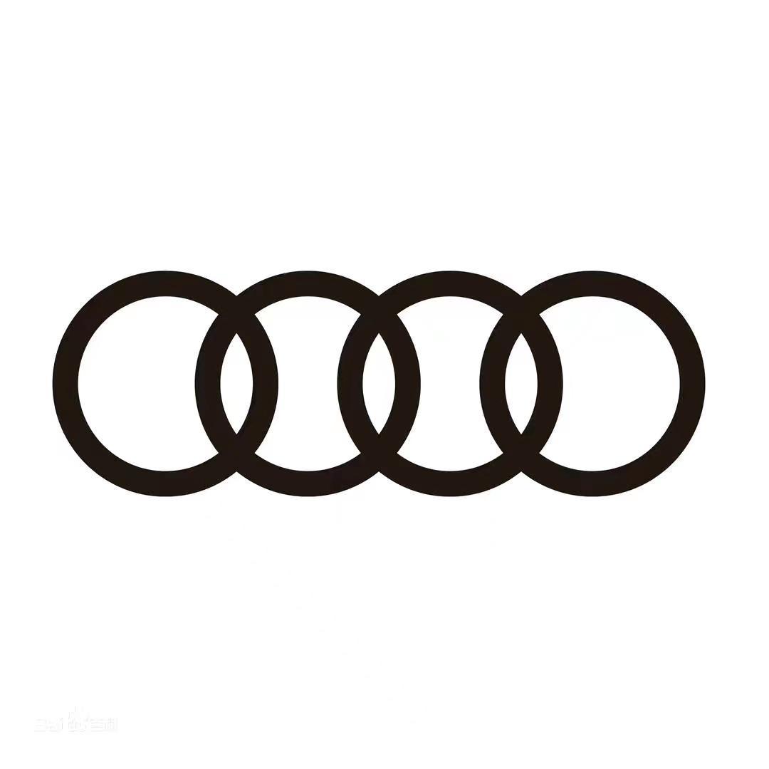 一汽奥迪新能源-德阳华星万路