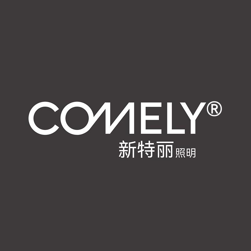 新特丽灯饰团购旗舰店