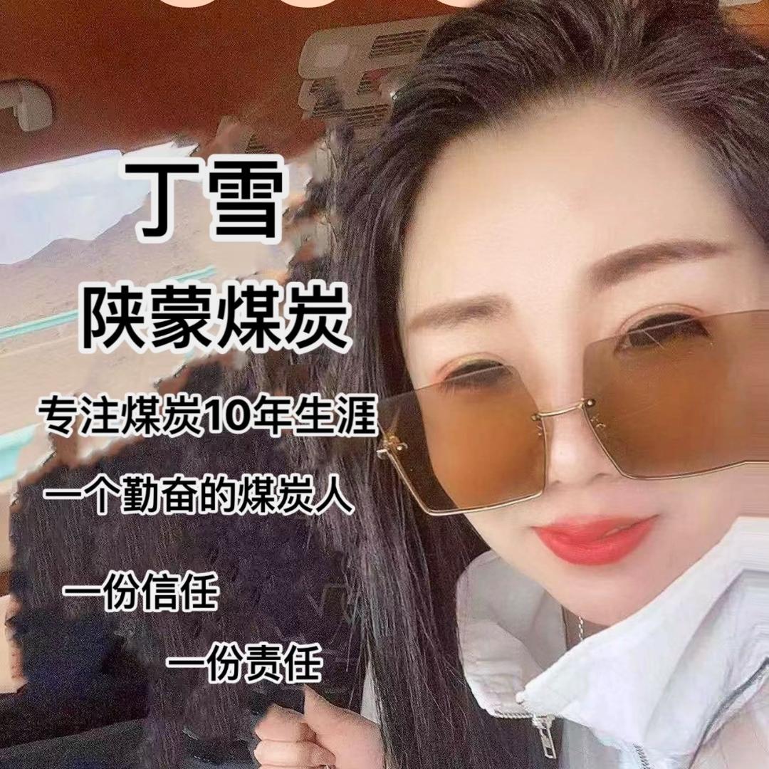 丁雪陕蒙煤炭直销