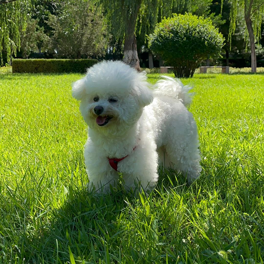 雪落指尖儿