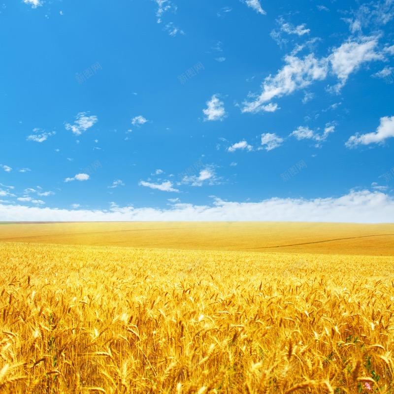 是青青姐姐ye✌️