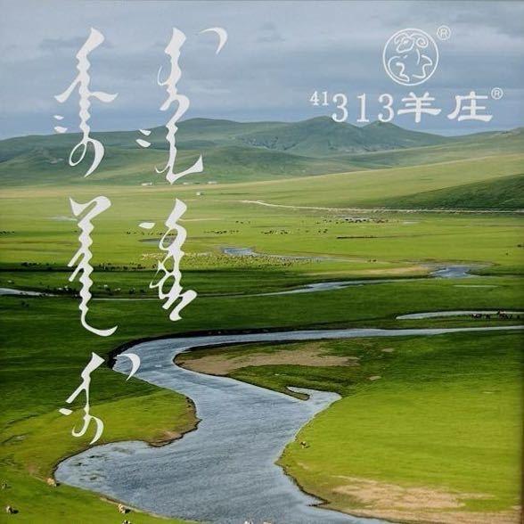 昌邑313羊庄