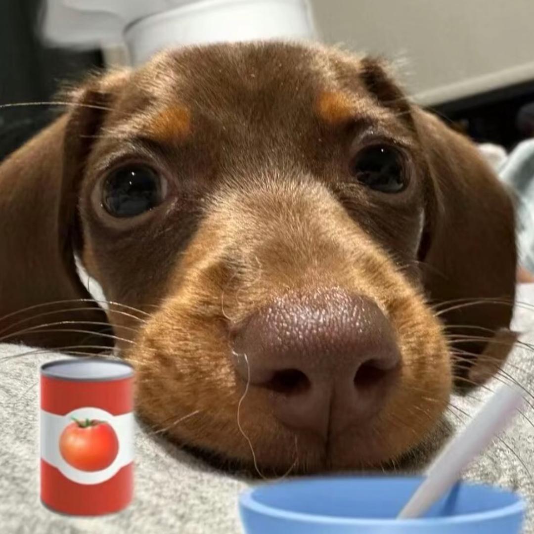 大王🍟🥥🧋🫐