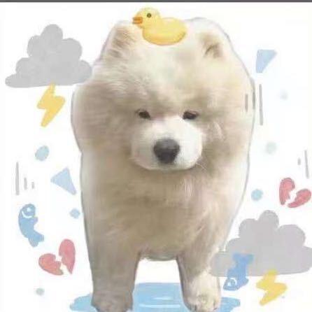 余十二